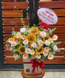 Hướng Tới Mặt Trời